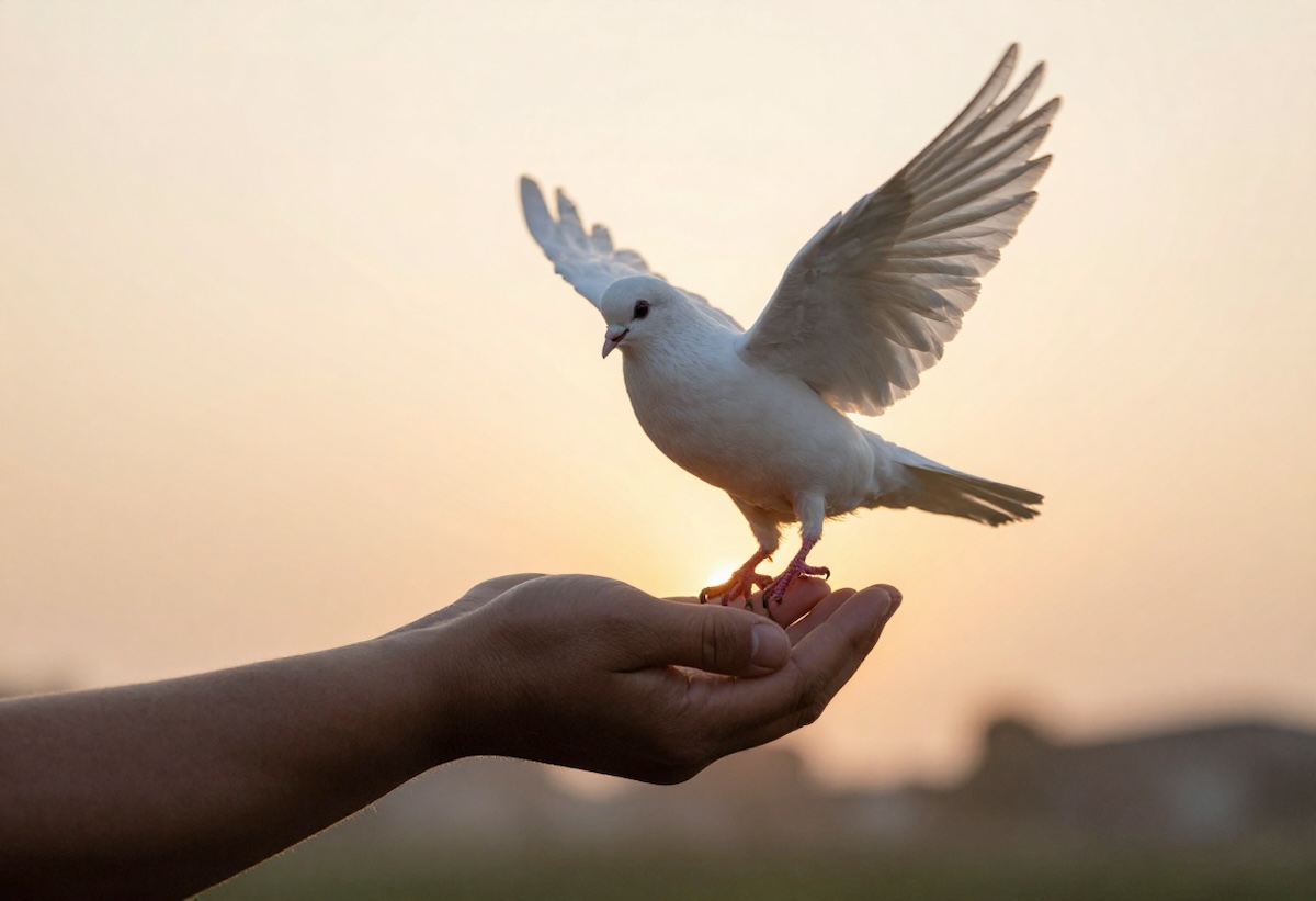 Rüyada Affettiğini Görmek Ne Anlama Gelir?